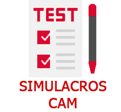 SIMULACROS